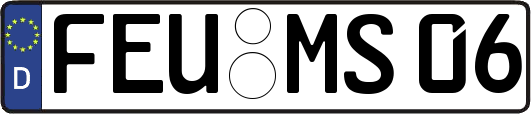FEU-MS06