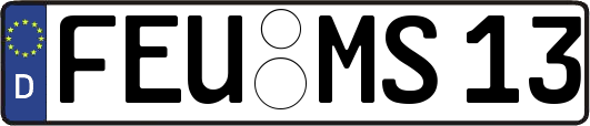 FEU-MS13
