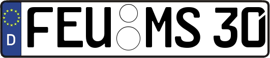 FEU-MS30