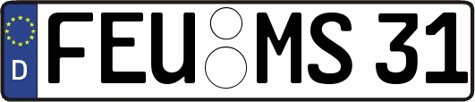 FEU-MS31