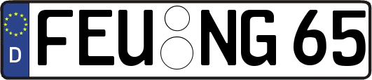 FEU-NG65