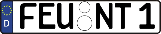 FEU-NT1