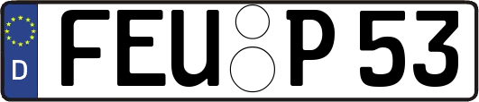 FEU-P53