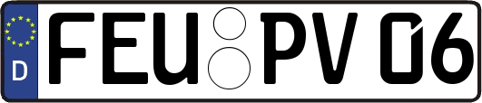 FEU-PV06