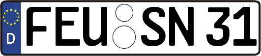 FEU-SN31
