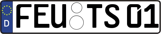 FEU-TS01