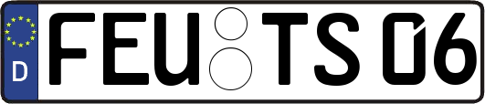 FEU-TS06
