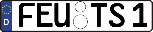FEU-TS1