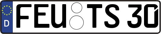 FEU-TS30