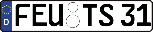 FEU-TS31