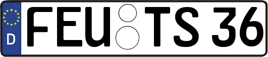 FEU-TS36