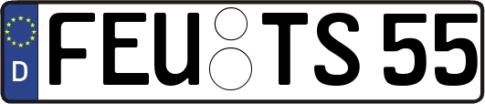FEU-TS55