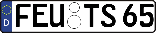 FEU-TS65