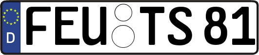 FEU-TS81