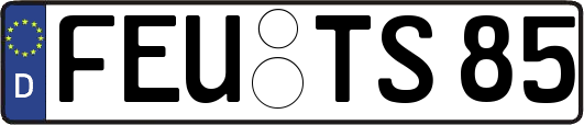 FEU-TS85