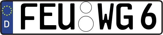 FEU-WG6