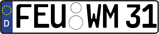 FEU-WM31