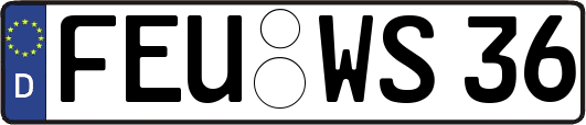 FEU-WS36