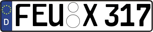 FEU-X317