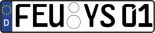 FEU-YS01