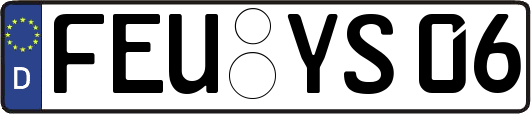 FEU-YS06