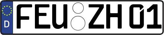 FEU-ZH01