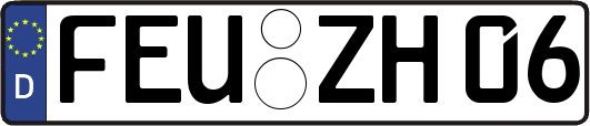 FEU-ZH06