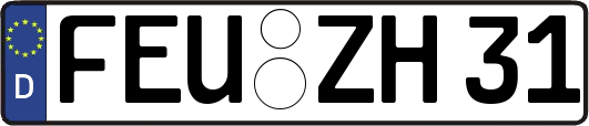 FEU-ZH31