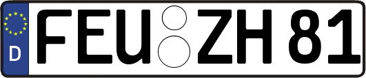 FEU-ZH81