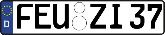 FEU-ZI37