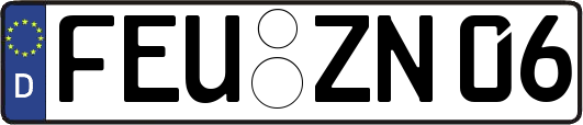 FEU-ZN06