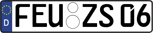 FEU-ZS06