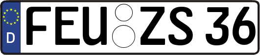 FEU-ZS36