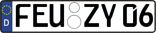 FEU-ZY06