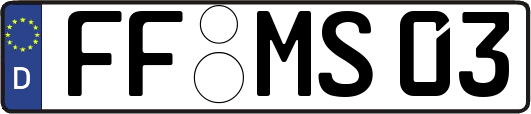 FF-MS03