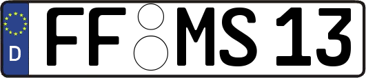 FF-MS13