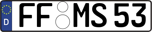 FF-MS53