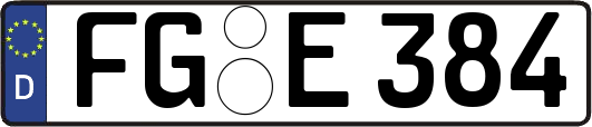 FG-E384