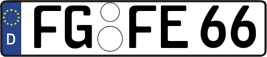 FG-FE66