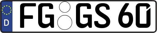 FG-GS60