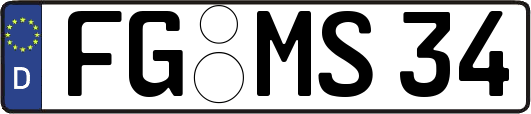FG-MS34