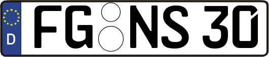 FG-NS30