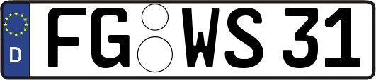 FG-WS31