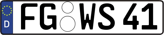 FG-WS41