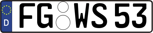 FG-WS53