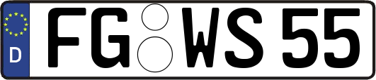 FG-WS55