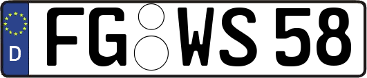 FG-WS58