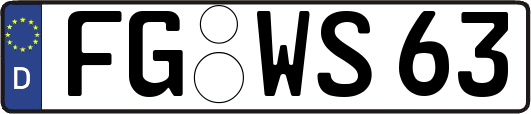 FG-WS63