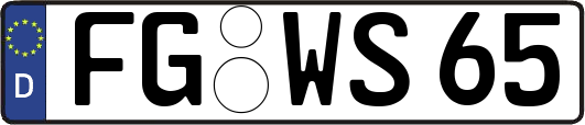 FG-WS65
