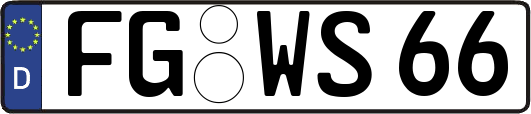 FG-WS66